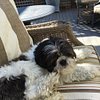 5 star customer review